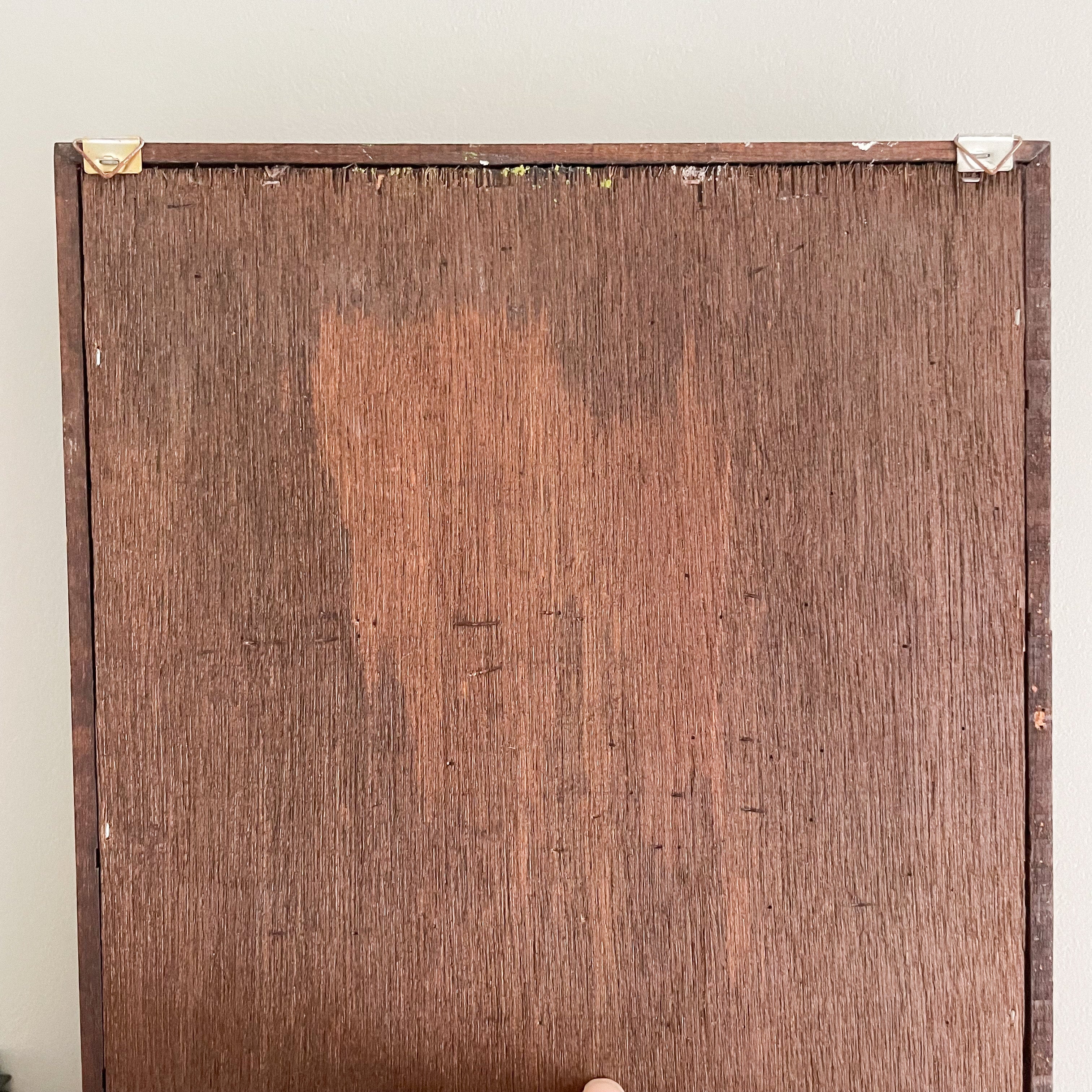 Vintage glazed display box or curios/trinket shelves, wall mounted or freestanding - Moppet